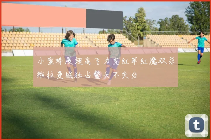 小蜜蜂展翅高飞力克红军红魔双杀维拉曼城独占鳌头不失分