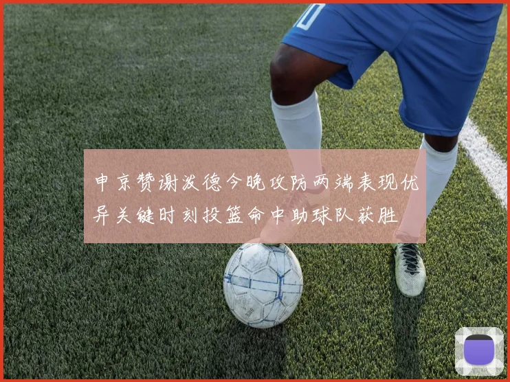 申京赞谢泼德今晚攻防两端表现优异关键时刻投篮命中助球队获胜