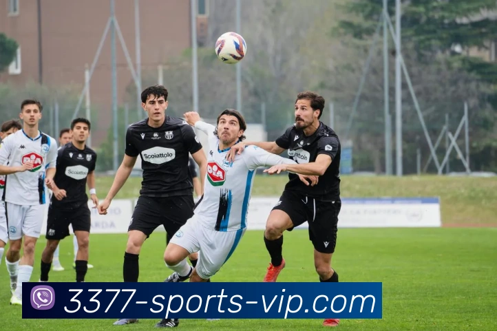 3377体育品牌故事