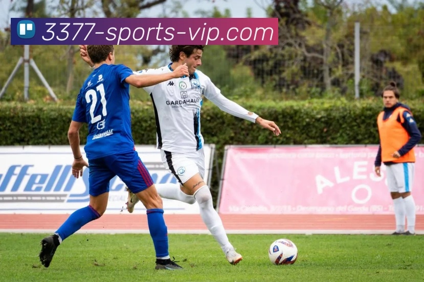 3377体育服务体系